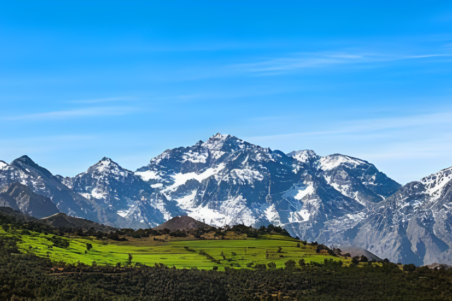 Day Trip to Imlil & High Atlas in private