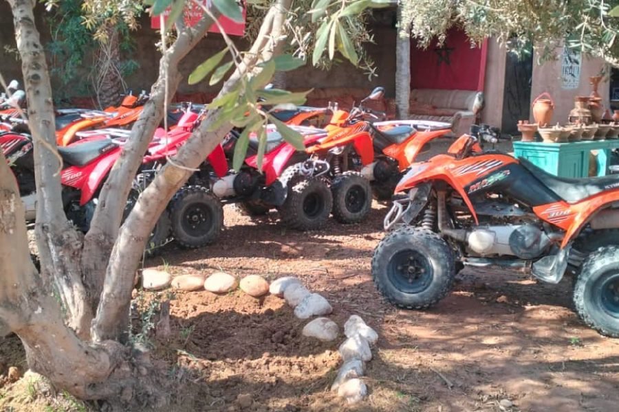 Quad La Palmeraie 1.5h